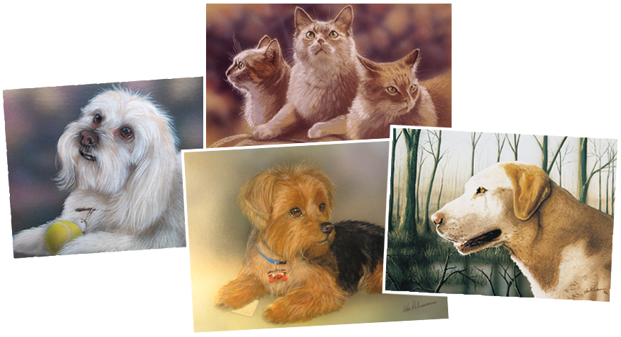 Bill Rebsamen Pet Portraits Art Studio